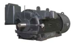 Motores Toshiba de Media Tension Cerrados XT Dura-Bull Dura Bull